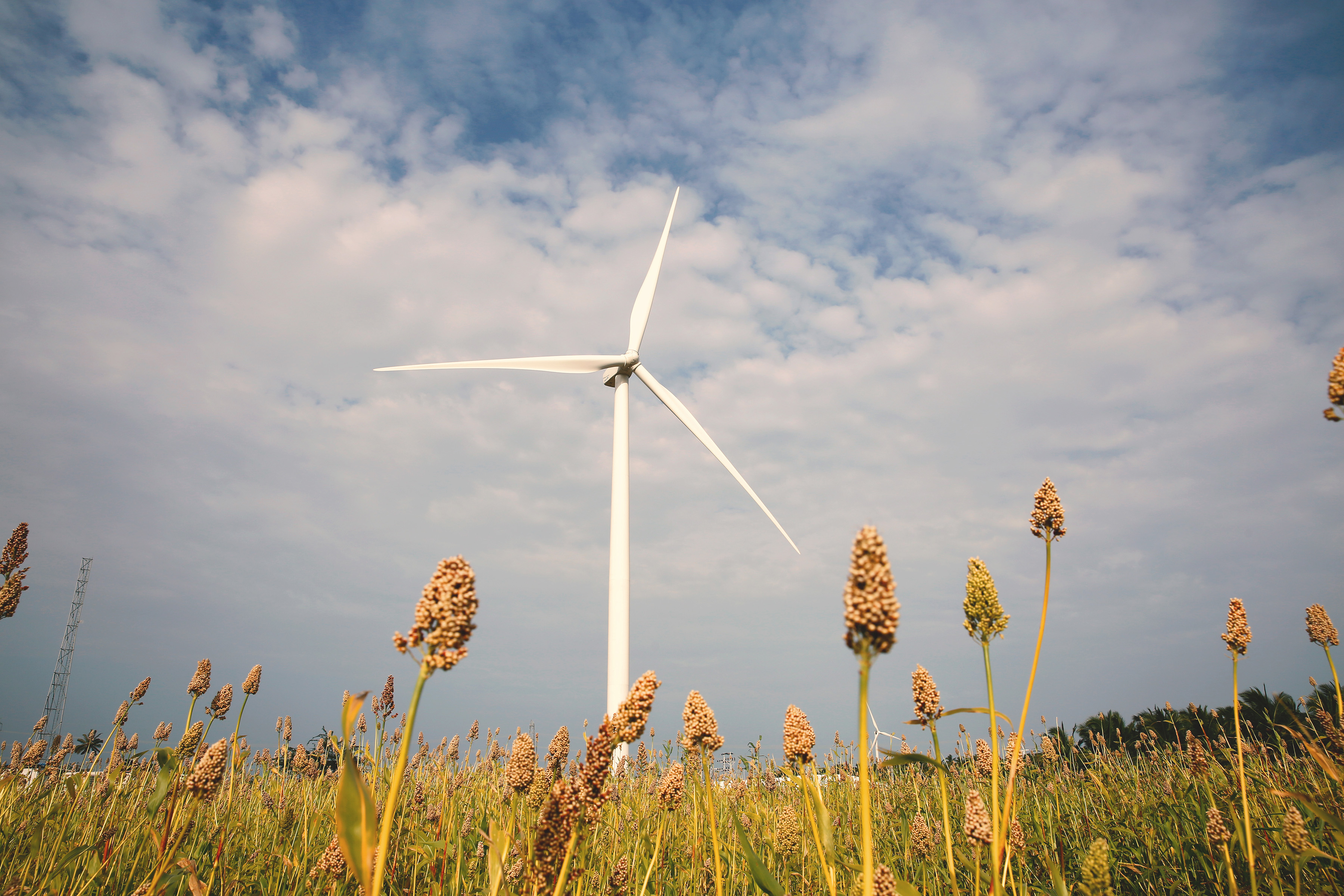 Classic Fleet of Wind Turbine Generators