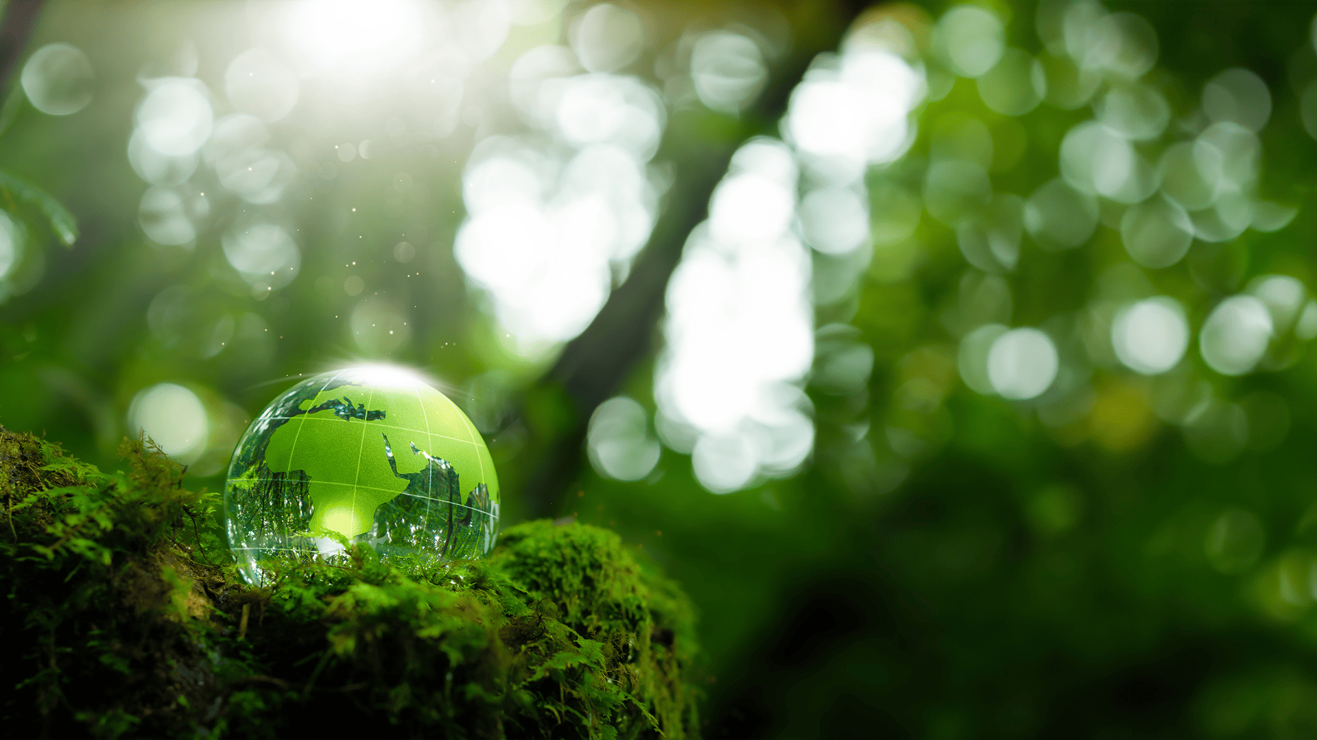 ESG Reports — Suzlon