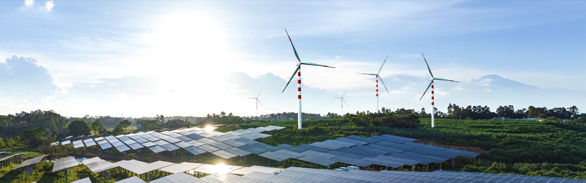 Wind turbines rising above a solar farm at sunrise
